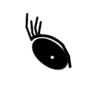 oeil gauche ouvert.png
